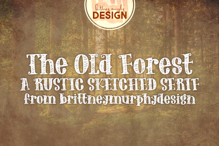 The Old Forest Font poster