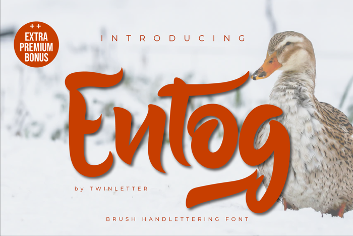 Entog Font poster