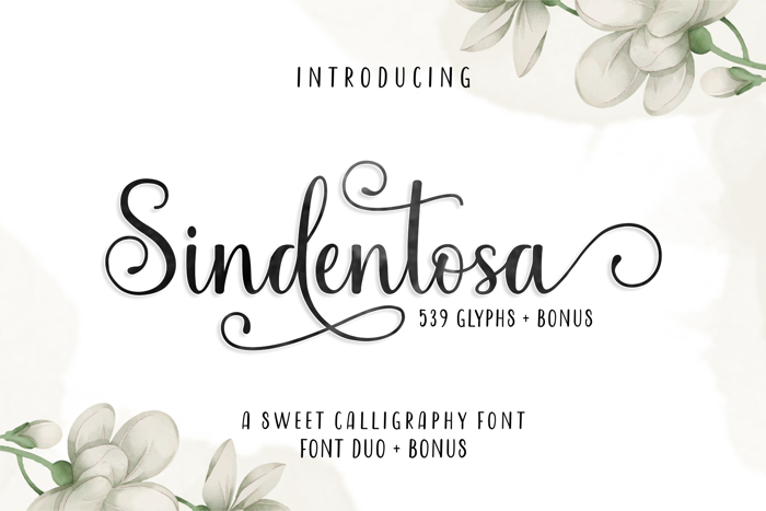 Sindentosa Font poster