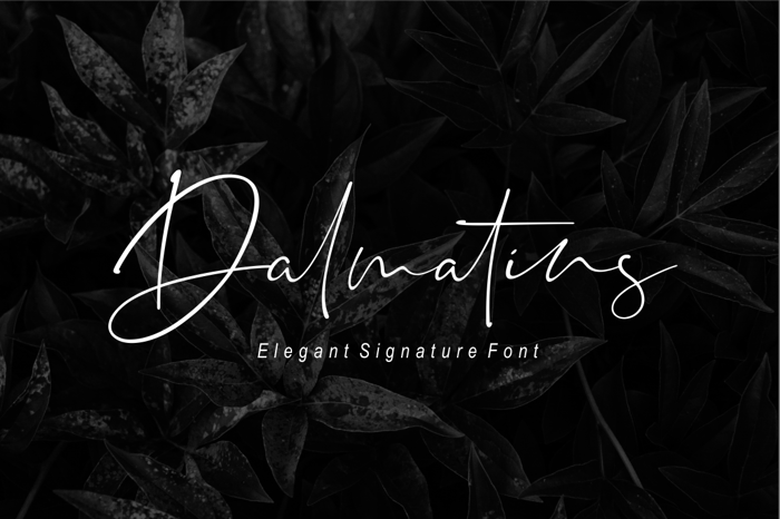 Dalmatins Font poster