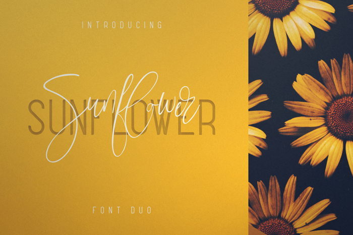 Sunflower Font poster