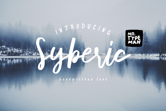 Syberic Font poster