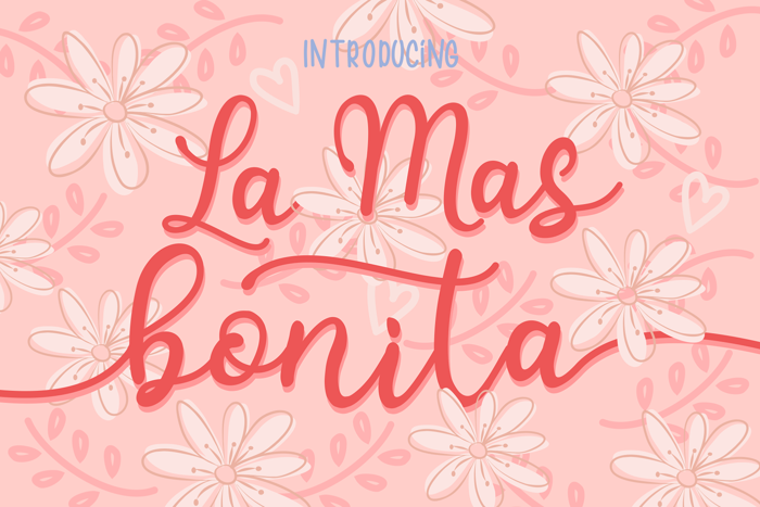 bonitas Font poster