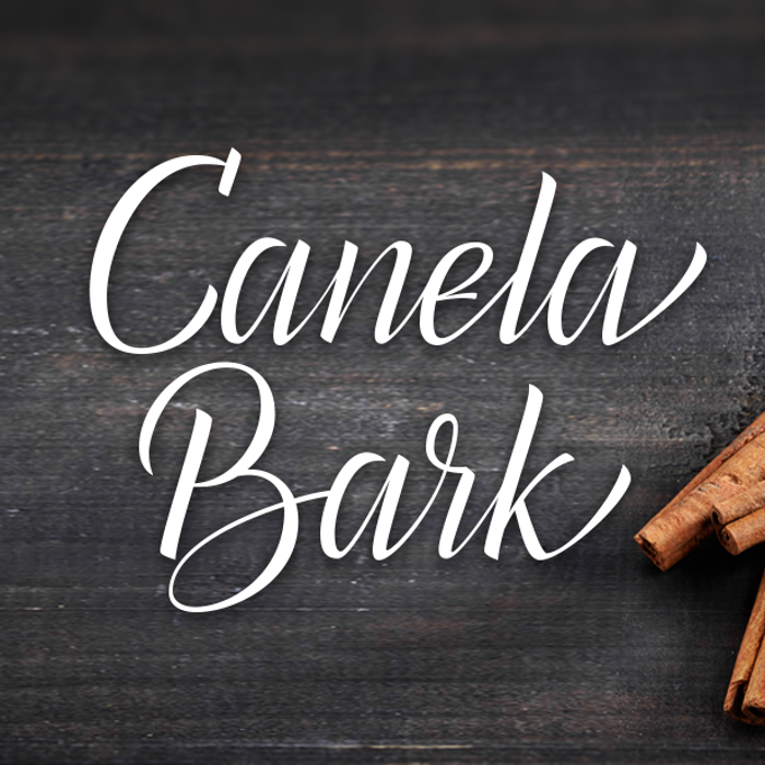 Canela Bark Font poster