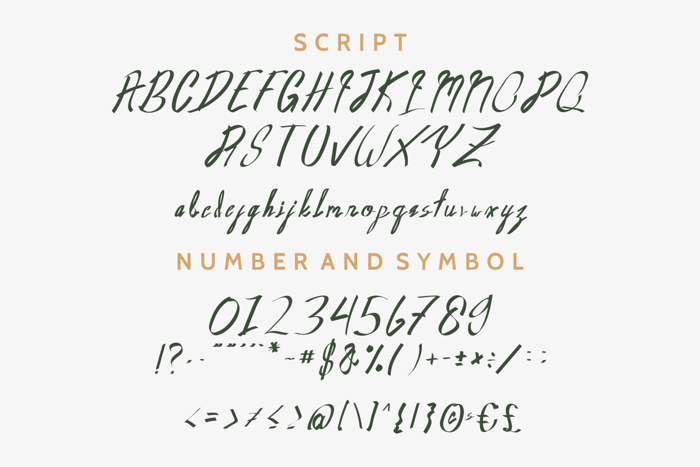 Oldwin Font poster