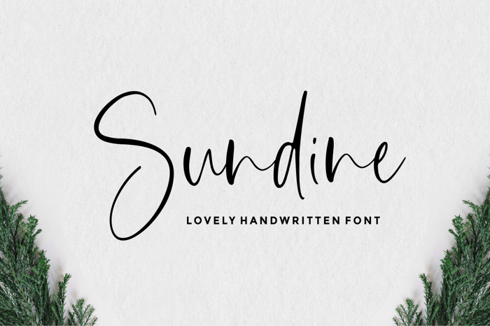 Sundine Font poster