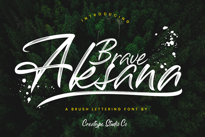 Aksana Font poster