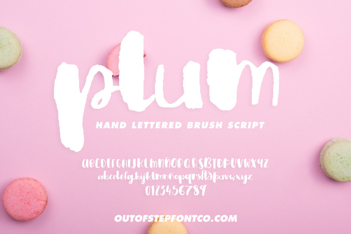 Plum Brush Script Font poster