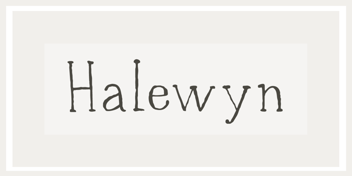 DK Halewyn Font poster