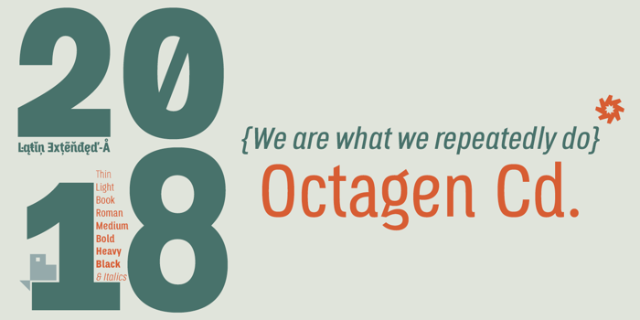 Octagen Light Font poster