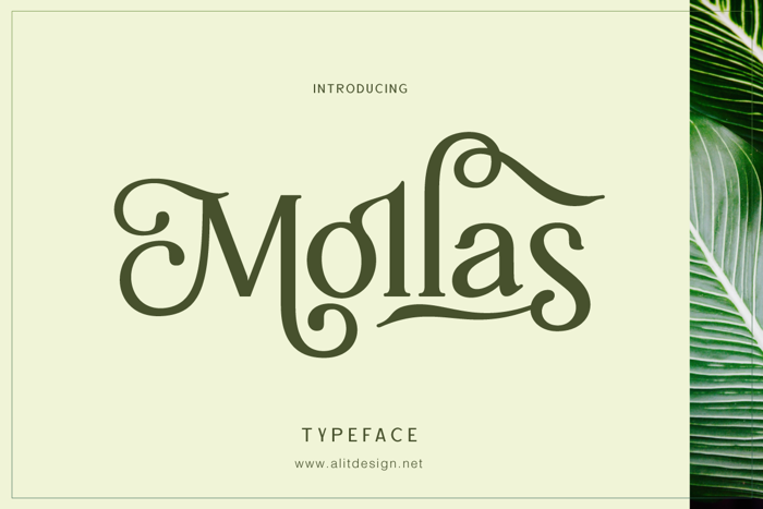 Mollas Font poster