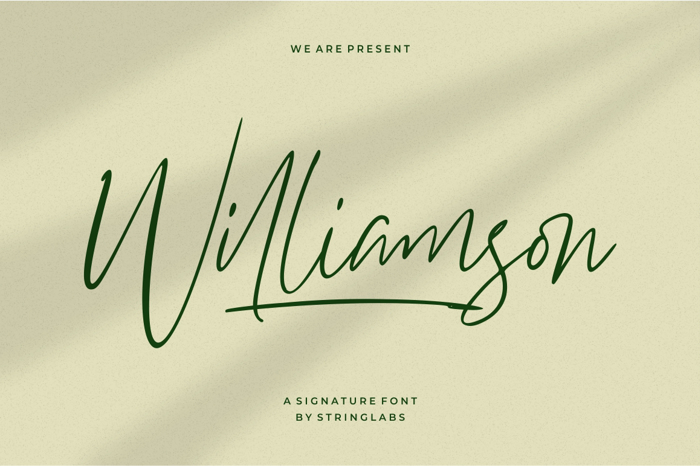 Williamson Font poster