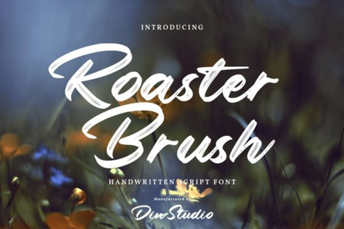 Roaster Brush Font poster