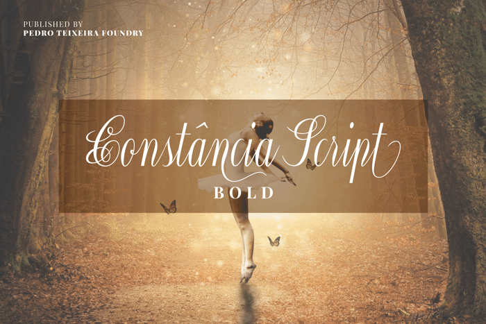 Constancia Script Font poster