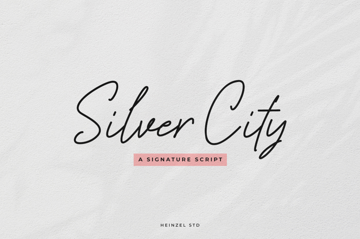 Silver City Font poster