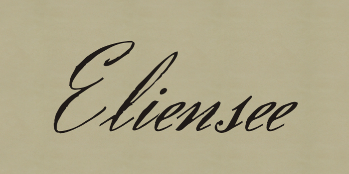 Eliensee Font poster