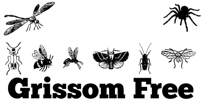 Grissom Free Font poster