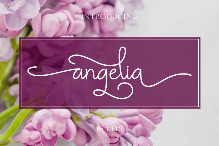 Angelia Font poster