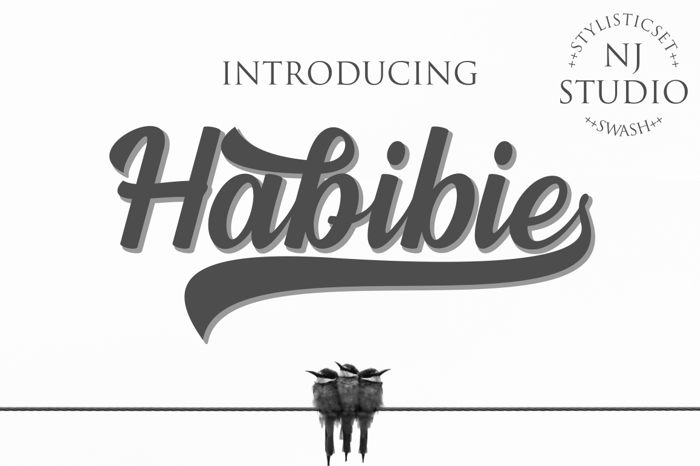 Habibie Font poster