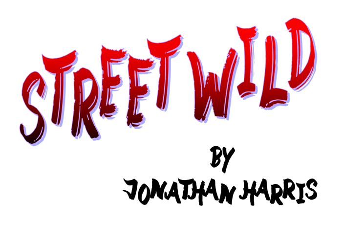 Street Wild Font poster