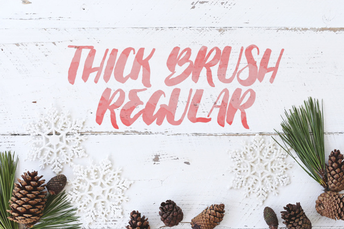 Thick Brush Font poster