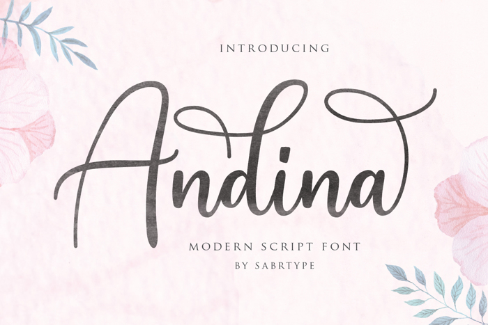 Andina Font poster