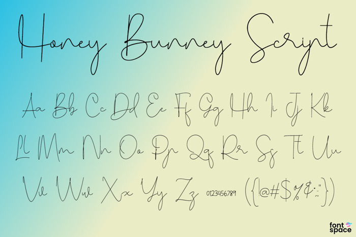 Honey Bunney Script Font poster