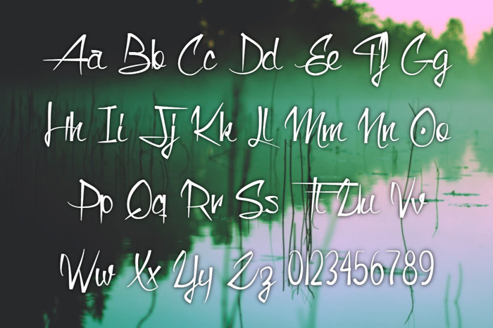 Monkey Snake Font poster