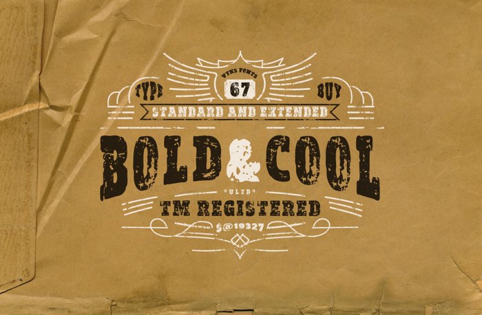 vtks Bold & Cool Font poster