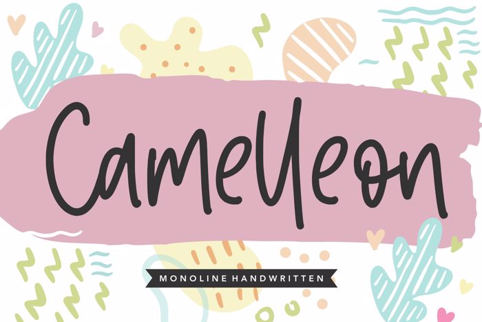 Camelleon Font poster
