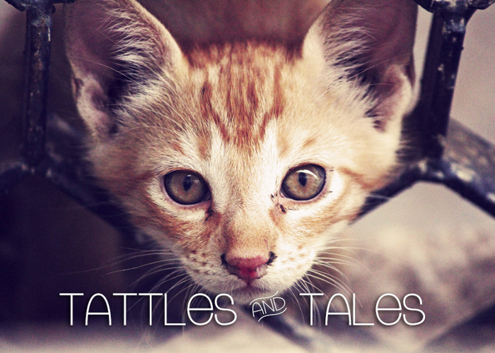 Tattle & Tales Font poster
