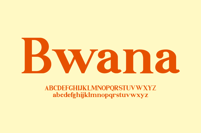 Bwana Font poster