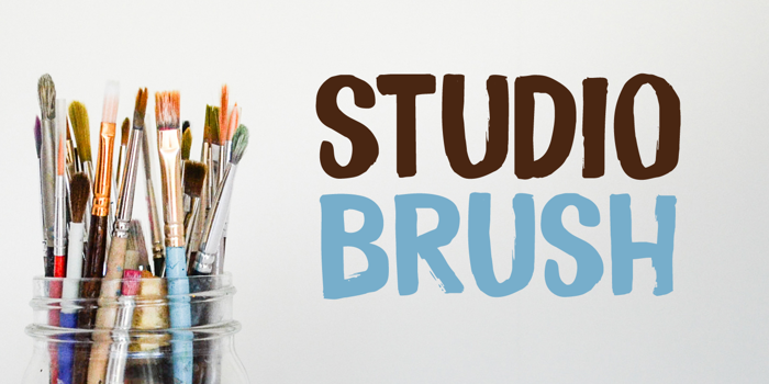 Studio Brush DEMO Font poster