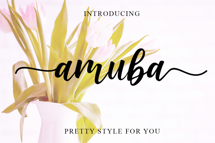 Amuba Script Font poster