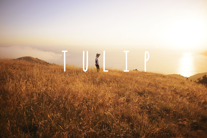 Tulip Font poster