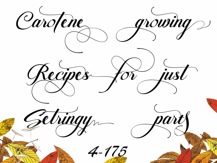 Pateglamt Script Font poster