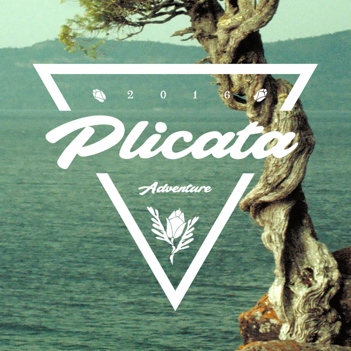 Plicata Font poster