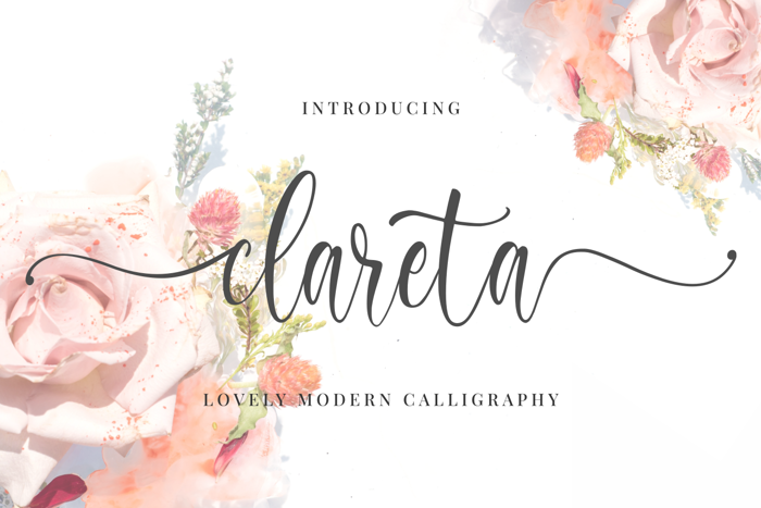 Clareta Font poster