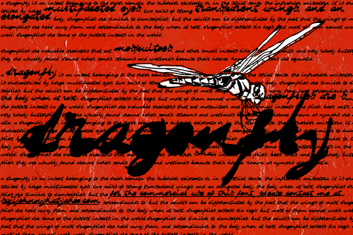 DRAGONFLY saji Font poster