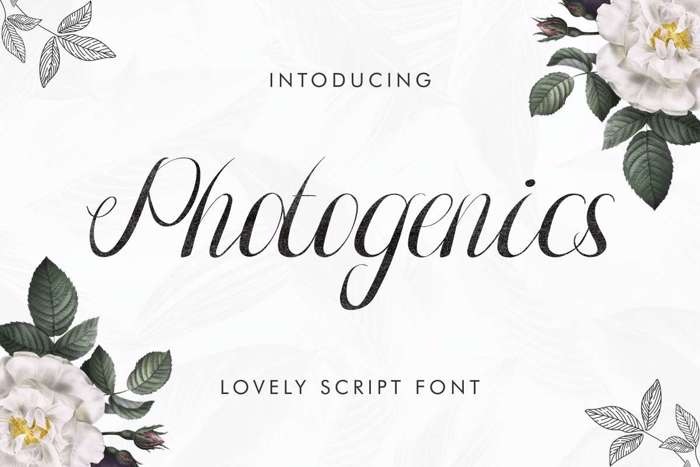 Photogenics Font poster