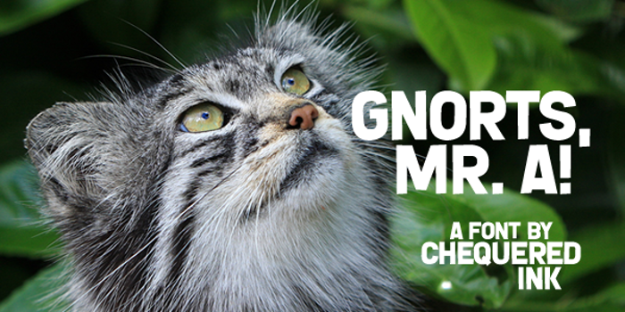 Gnorts, Mr A! Font poster