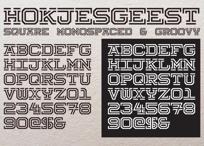 Hokjesgeest poster
