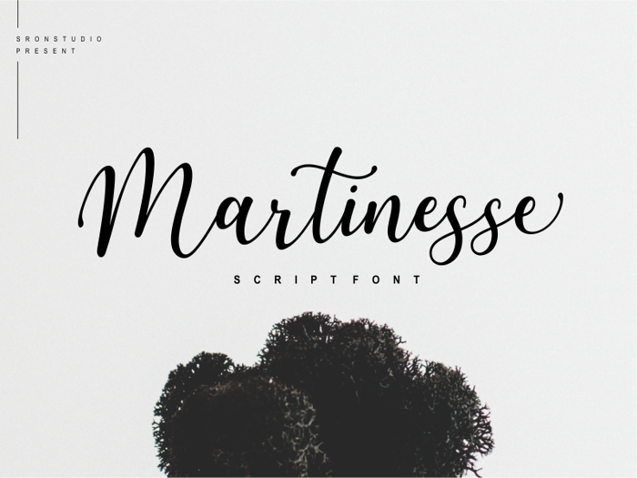 Martinesse Font poster
