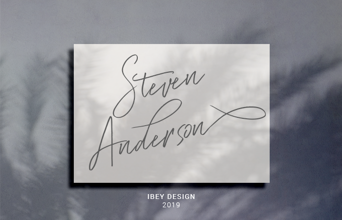 Steven Anderson poster