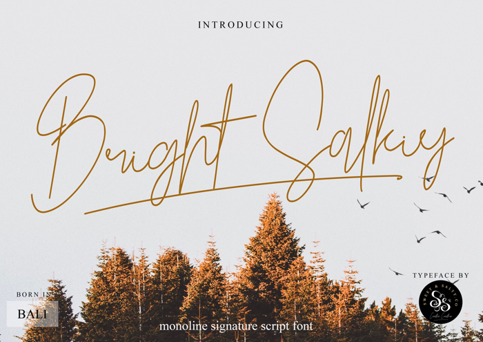 Bright Salkiy poster