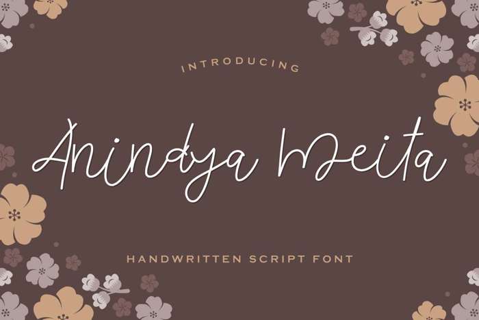 Anindya Meita Font poster