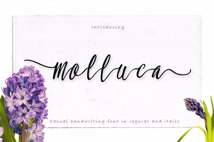 Molluca Font poster