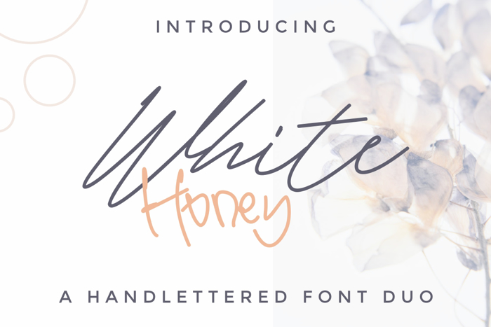 White Honey Font poster