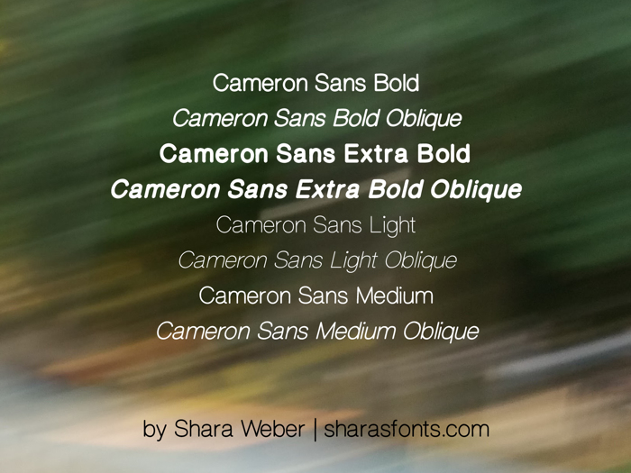 Cameron Sans Font poster