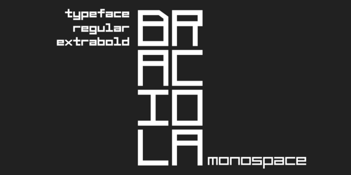 Braciola MS Font poster
